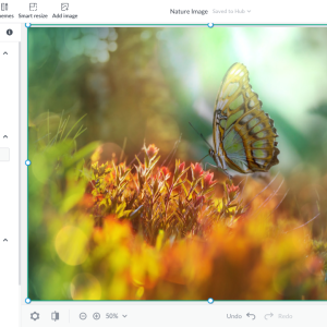 High-Resolution Cropping for Print
